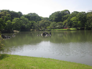 お散歩 六義園の大きな池