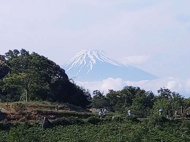 虹の郷 富士山