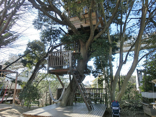 木の上カフェ　椿森コムナ