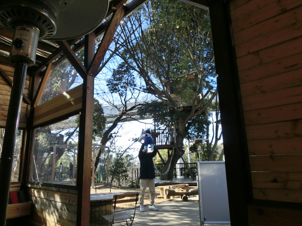 木の上カフェ　椿森コムナ