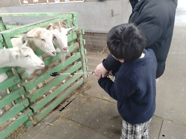 りんどう湖ファミリー牧場 エサやり