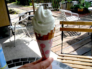 静岡名物 わさびアイスクリーム