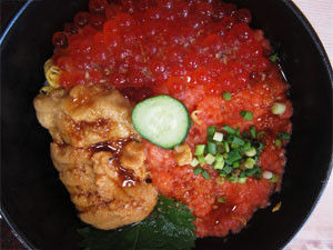 北海道旅行 3色海鮮丼