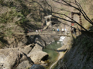 袋田の滝 吊橋