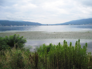 長野旅行 諏訪湖