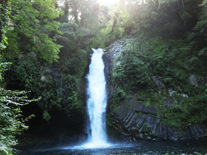 静岡旅行 浄蓮の滝