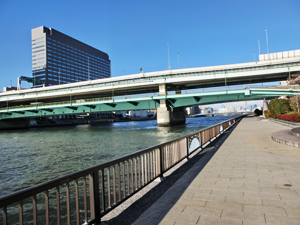 隅田川大橋 散歩