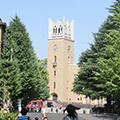 早稲田大学