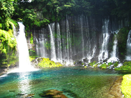 静岡ドライブ 白糸の滝
