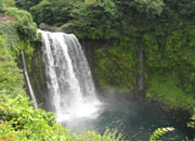 静岡ドライブ 音止の滝
