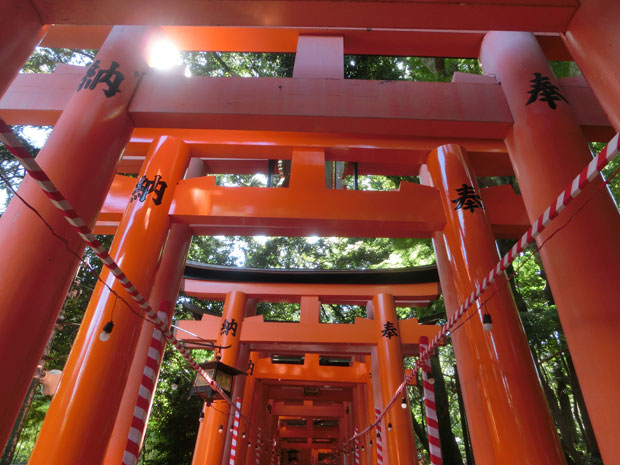 京都散歩 伏見稲荷神社